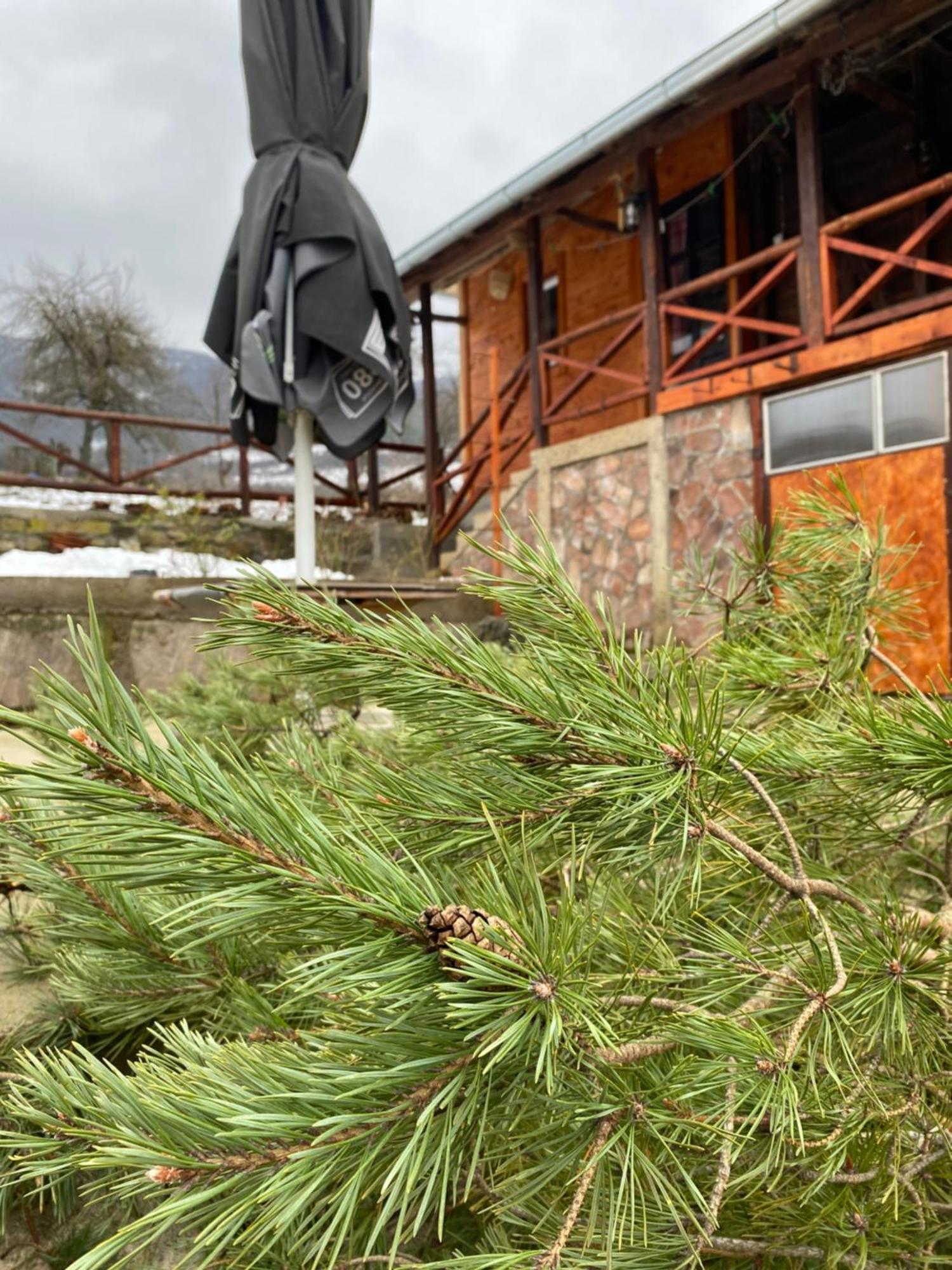 Apartamento Seosko Turisticko Domacinstvo Stanisic Kalna Exterior foto