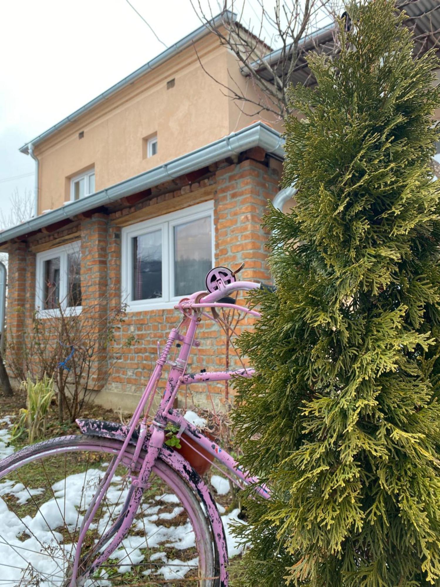 Apartamento Seosko Turisticko Domacinstvo Stanisic Kalna Exterior foto